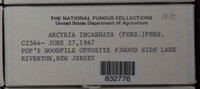 Image Associated With the Occurence
